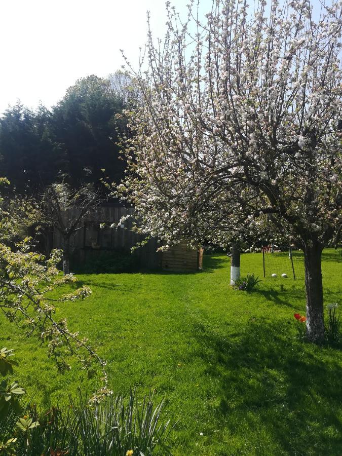 Le Gite Insolite Gonnedouille Gonneville-en-Auge Exterior foto